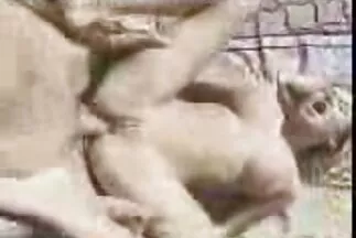एक मुक्त काँसे के रंग का रंग रसोई घर में एक गंजा शॉट के साथ एक भाप से भरा चुंबन से बाहर आता है सेक्सी मूवी नई वाली
