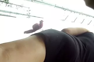 आदमी संतुष्ट था और दो युवा लड़कियों के साथ समूह सेक्स की व्यवस्था सेक्सी पिक्चर हिंदी में फुल मूवी की