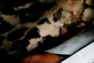 मोज़ा में गोरा उसे बिल्ली फुल मूवी सेक्सी हिंदी को चूमने के लिए चश्मे के साथ एक दाढ़ी वाले आदमी की अनुमति देता है